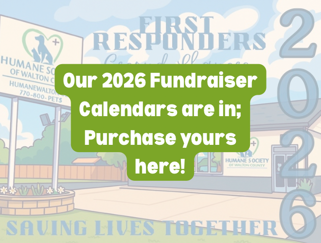 Fundraiser_Calendar_FB_Post.png