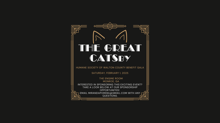The Great CATSby